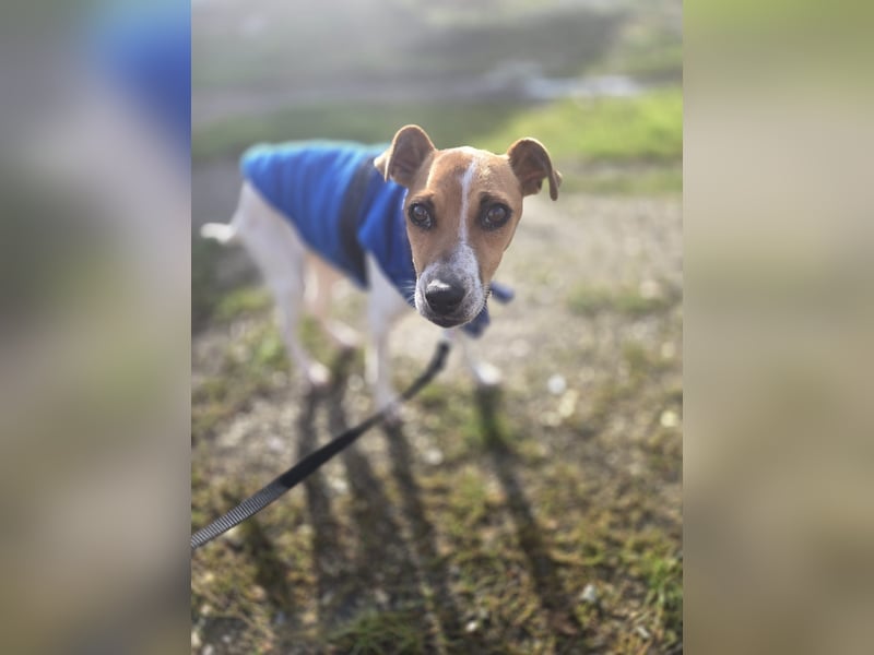 Ria - kleiner Sonnenschein