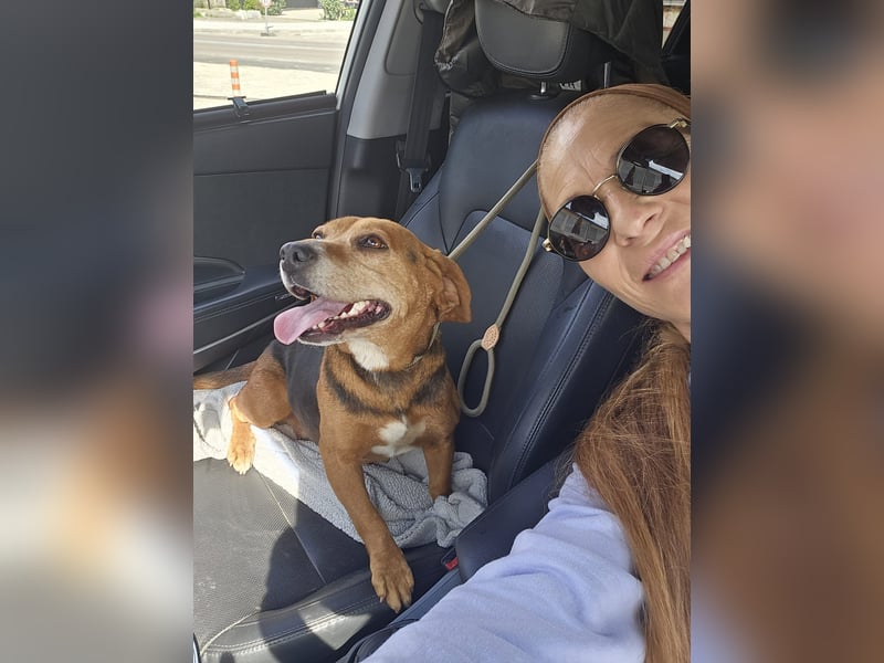 Frida - der Sonnenschein