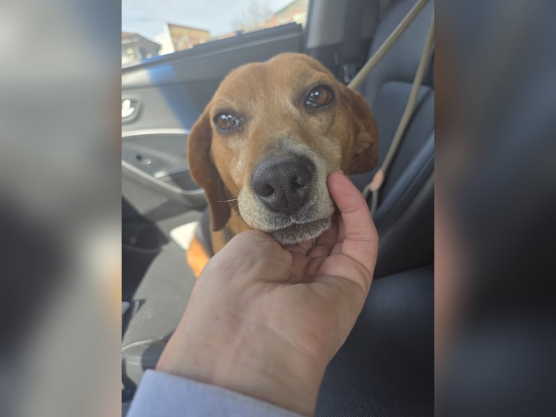 Frida - der Sonnenschein