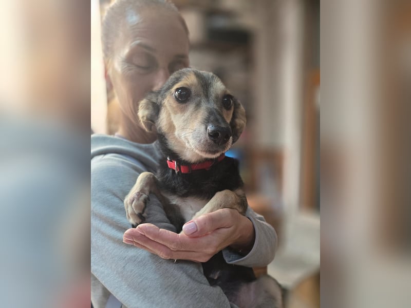 kleine Zoe - sucht eine Famile, die ihr zeigt wie schön das Leben ist