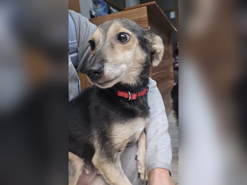 kleine Zoe - sucht eine Famile, die ihr zeigt wie schön das Leben ist