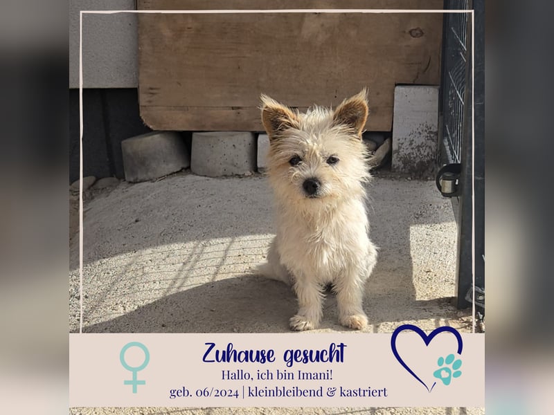 Imani - heisst Glaube und wir glauben an ein Happy End