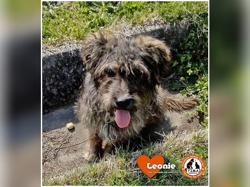 Leonie sucht endlich nach einem eigenen Zuhause