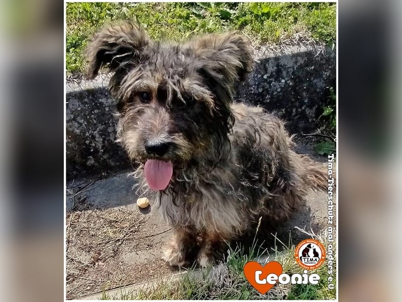 Leonie sucht endlich nach einem eigenen Zuhause