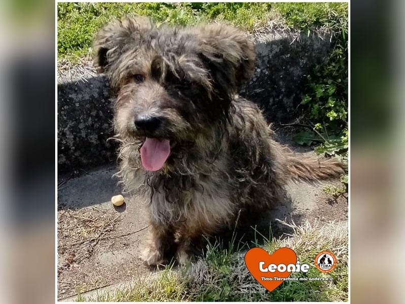 Leonie sucht endlich nach einem eigenen Zuhause