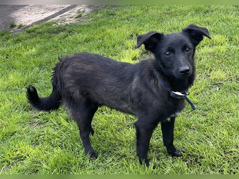 Jerry- super lieber kleiner Bub