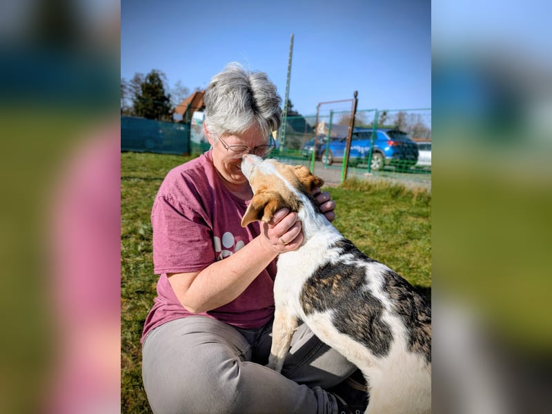 Lenny, fröhliches Hundekind geb.2025