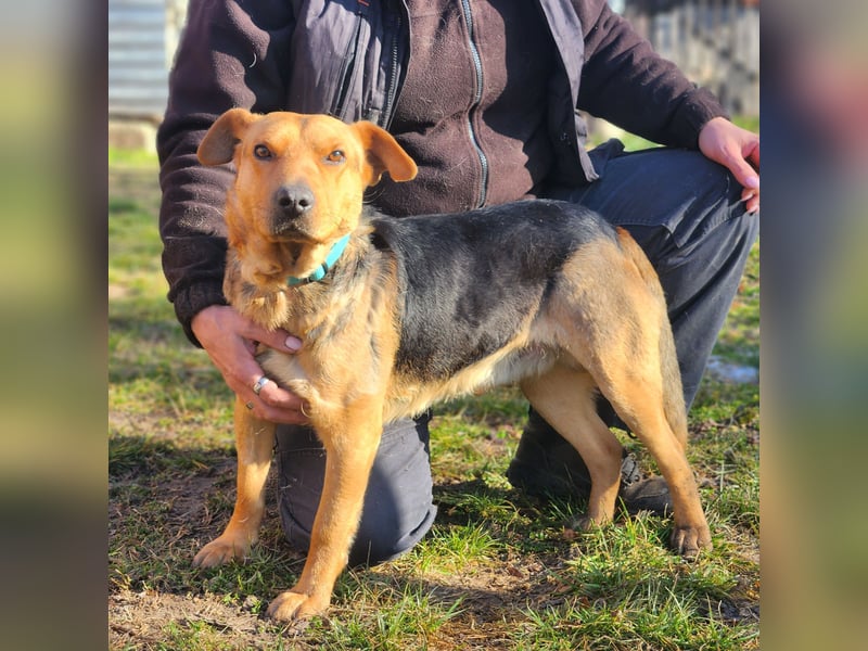 Herzensbrecher Mazli sucht seine Menschen