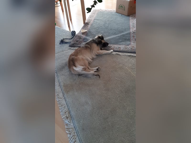 Hallo, ich bin's die Amy