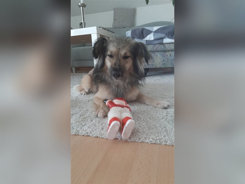 Hallo, ich bin's die Amy