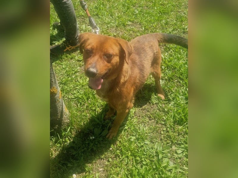 Ruppert sucht ein Zuhause