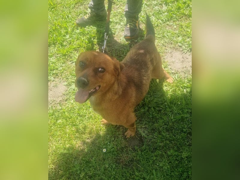 Ruppert sucht ein Zuhause