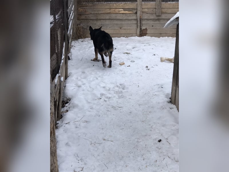 LILLY...ist da jemand???