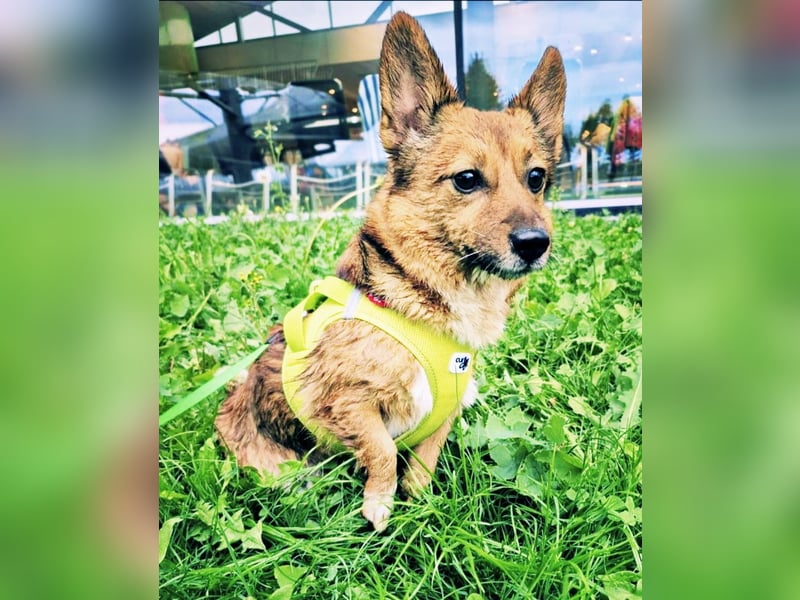 Lass ein Wintermärchen war werden!