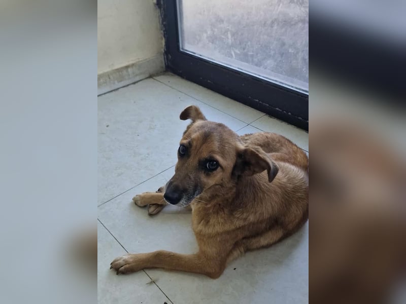 Lass ein Wintermärchen war werden!