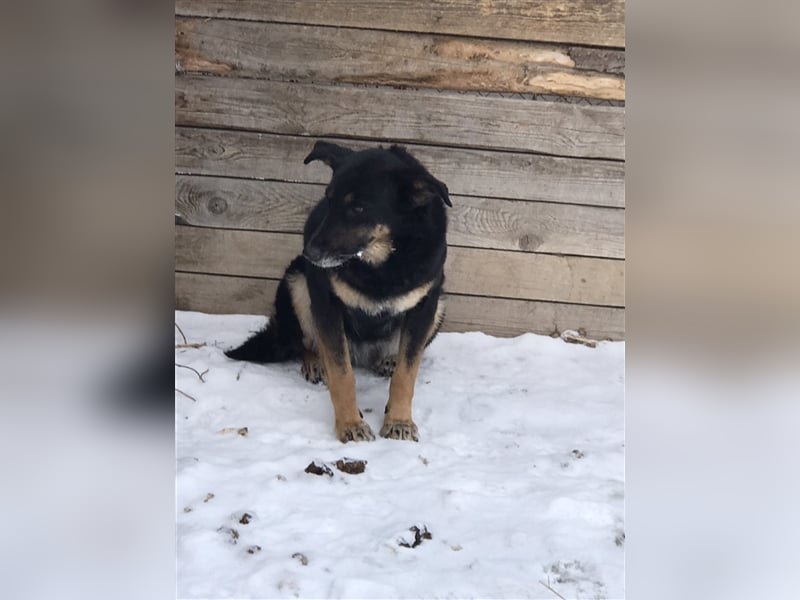 LILLY...ist da jemand???