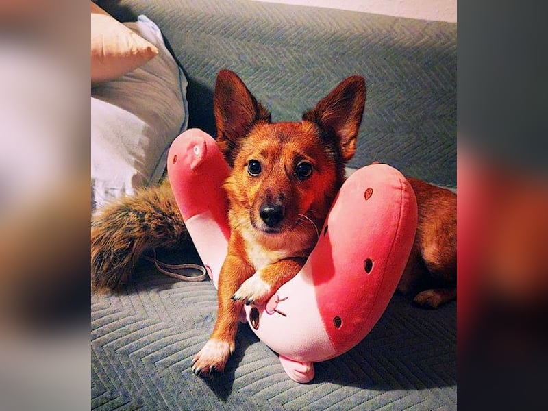 Lass ein Wintermärchen war werden!