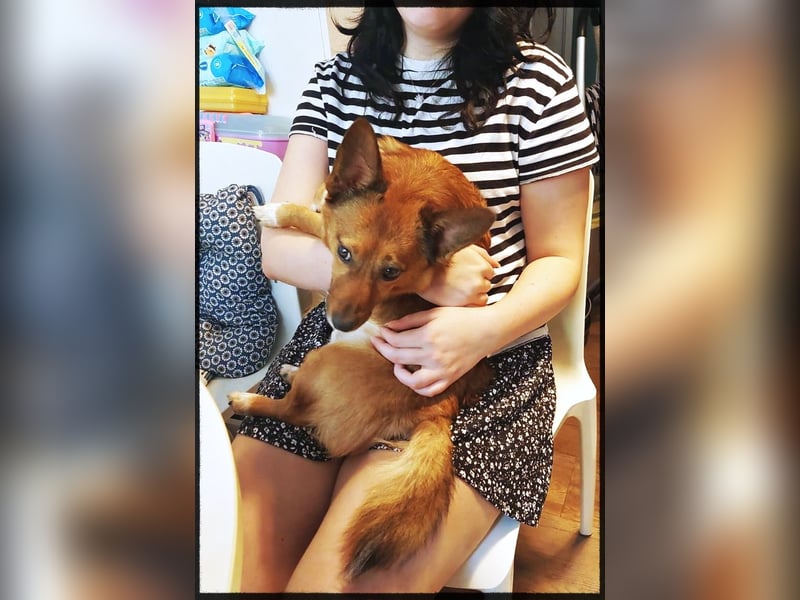 Lass ein Wintermärchen war werden!