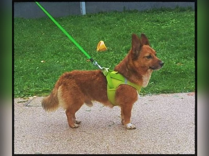 Lass ein Wintermärchen war werden!