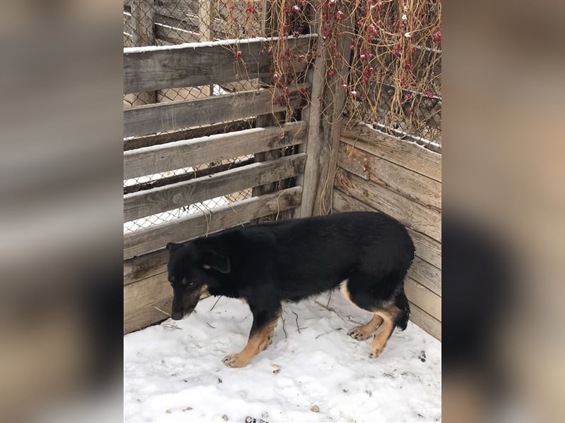 LILLY...ist da jemand???