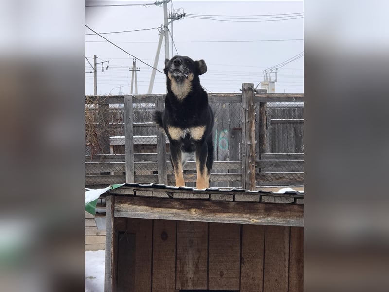 LILLY...ist da jemand???