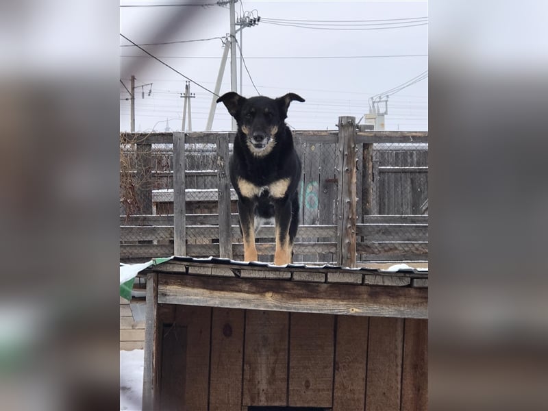 LILLY...ist da jemand???