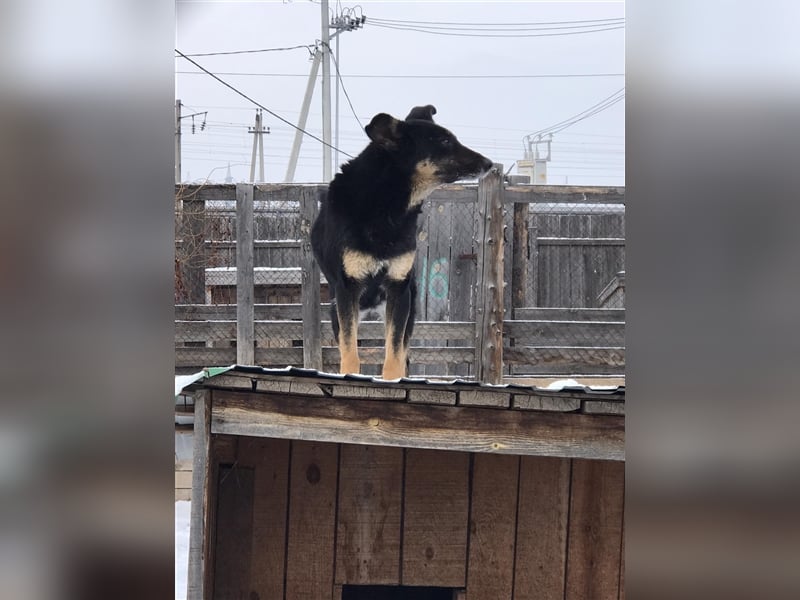 LILLY...ist da jemand???