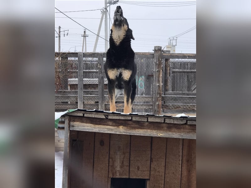 LILLY...ist da jemand???