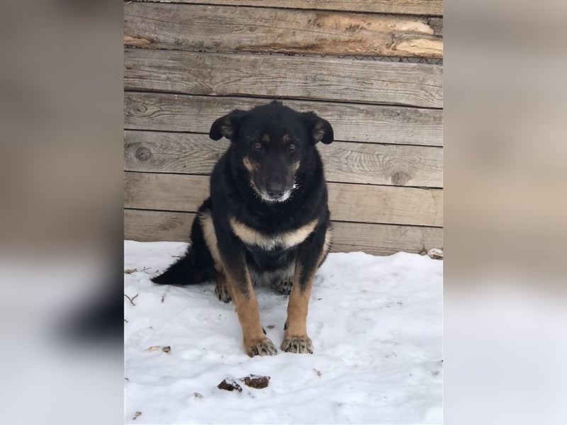 LILLY...ist da jemand???