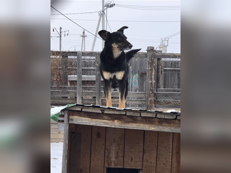 LILLY...ist da jemand???