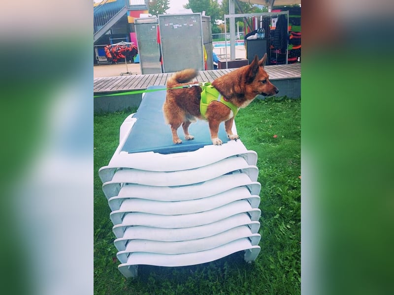 Lass ein Wintermärchen war werden!