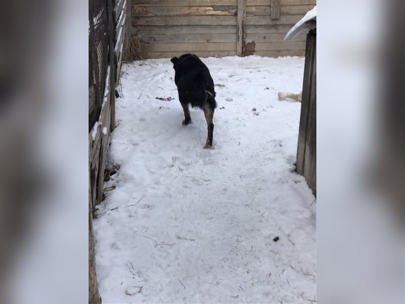 LILLY...ist da jemand???