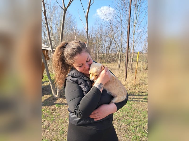 Frieda, sanfte Seele, ca. 2 Monate, ca. 22 cm, ca. 3 kg