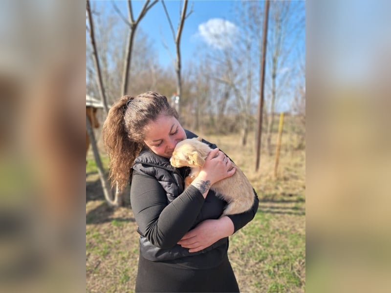 Frieda, sanfte Seele, ca. 2 Monate, ca. 22 cm, ca. 3 kg