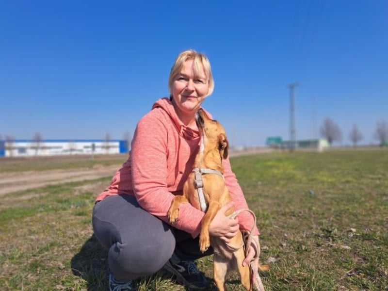 Amie, offene Begleiterin, ca. 2 Jahre, ca. 32 cm, ca. 7 kg