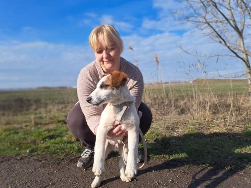 Beethoven, fröhliches Energiebündel, ca. 4 Monate, ca. 30 cm, ca. 5 kg