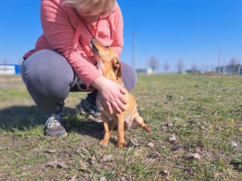 Amie, offene Begleiterin, ca. 2 Jahre, ca. 32 cm, ca. 7 kg