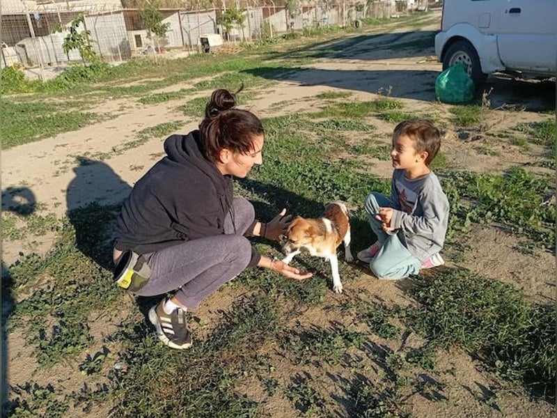 Minimi, selbstbewusstes Energiebündel, ca. 2 Jahre, ca. 30 cm, ca. 5 kg