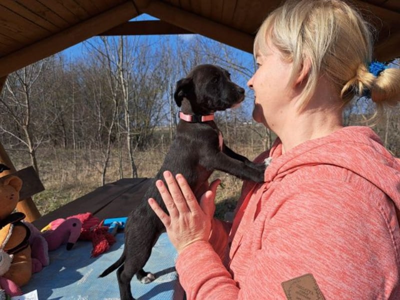Berta, neugierige Kuschelmaus, ca. 2 Monate, ca. 22 cm, ca. 3 kg