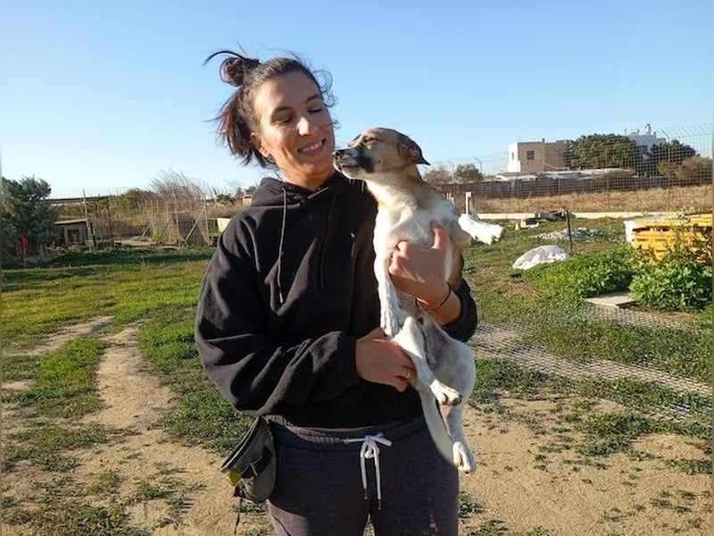 Minimi, selbstbewusstes Energiebündel, ca. 2 Jahre, ca. 30 cm, ca. 5 kg