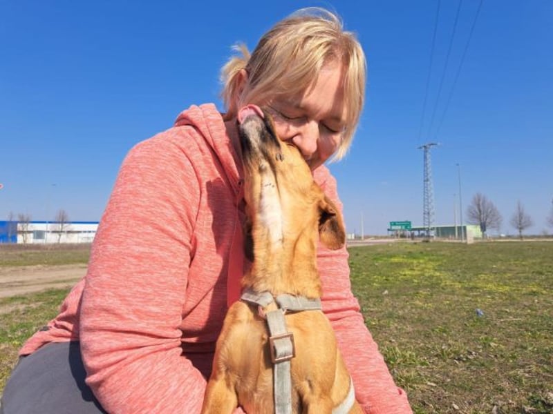 Amie, offene Begleiterin, ca. 2 Jahre, ca. 32 cm, ca. 7 kg