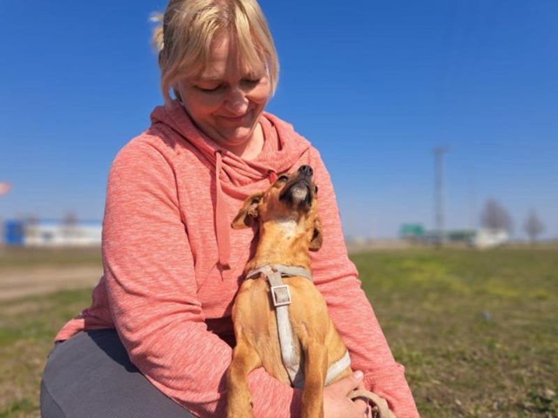 Amie, offene Begleiterin, ca. 2 Jahre, ca. 32 cm, ca. 7 kg
