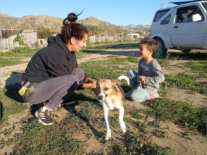 Minimi, selbstbewusstes Energiebündel, ca. 2 Jahre, ca. 30 cm, ca. 5 kg