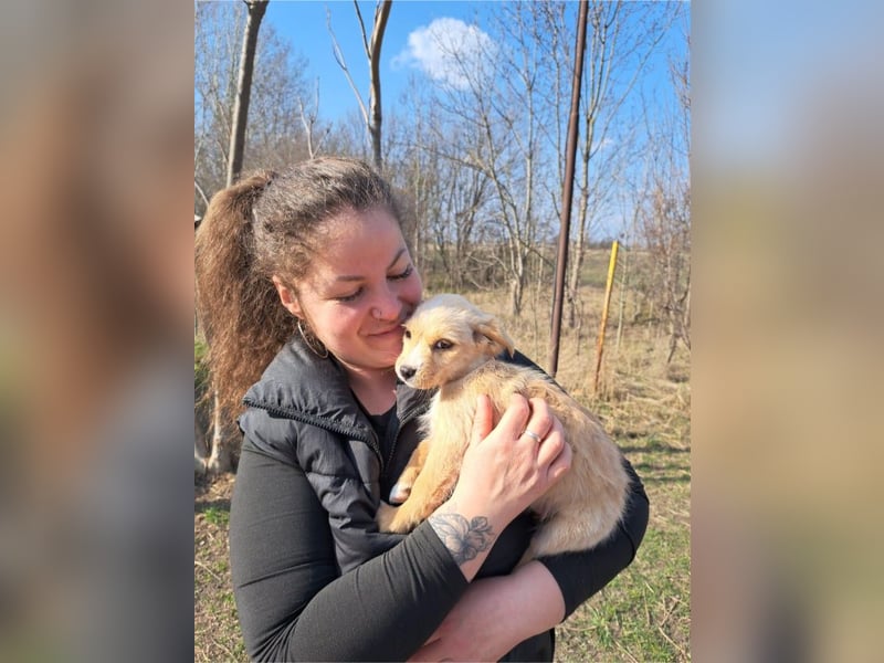 Frieda, sanfte Seele, ca. 2 Monate, ca. 22 cm, ca. 3 kg