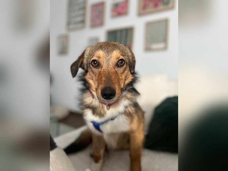 Haily - sucht geduldige Herzensmenschen