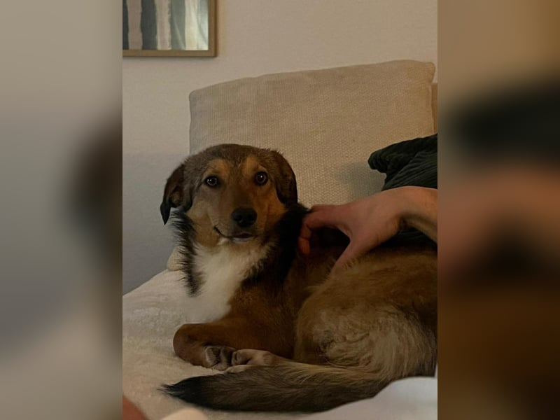 Haily - sucht geduldige Herzensmenschen