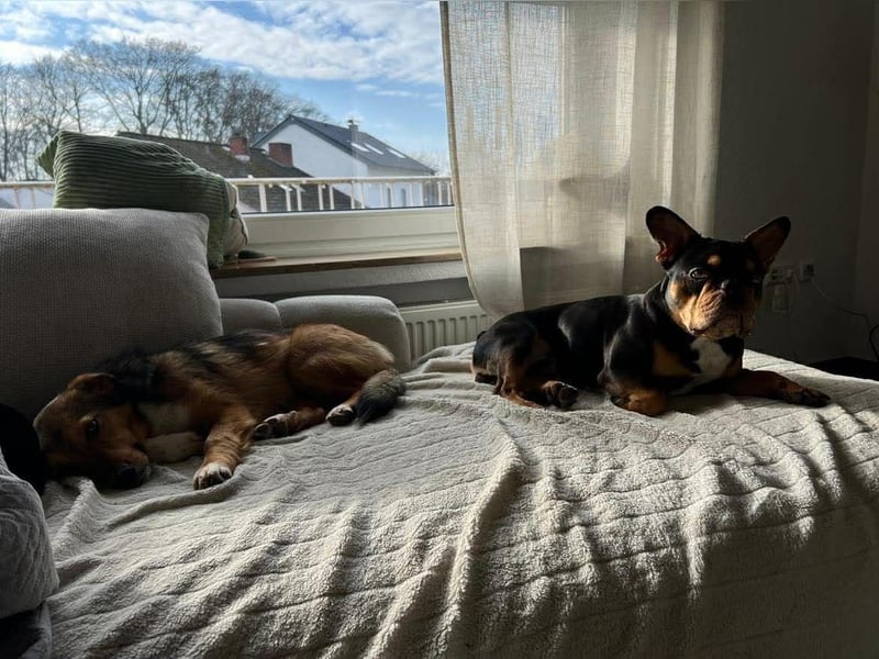 Haily - sucht geduldige Herzensmenschen