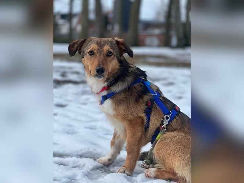 Haily - sucht geduldige Herzensmenschen