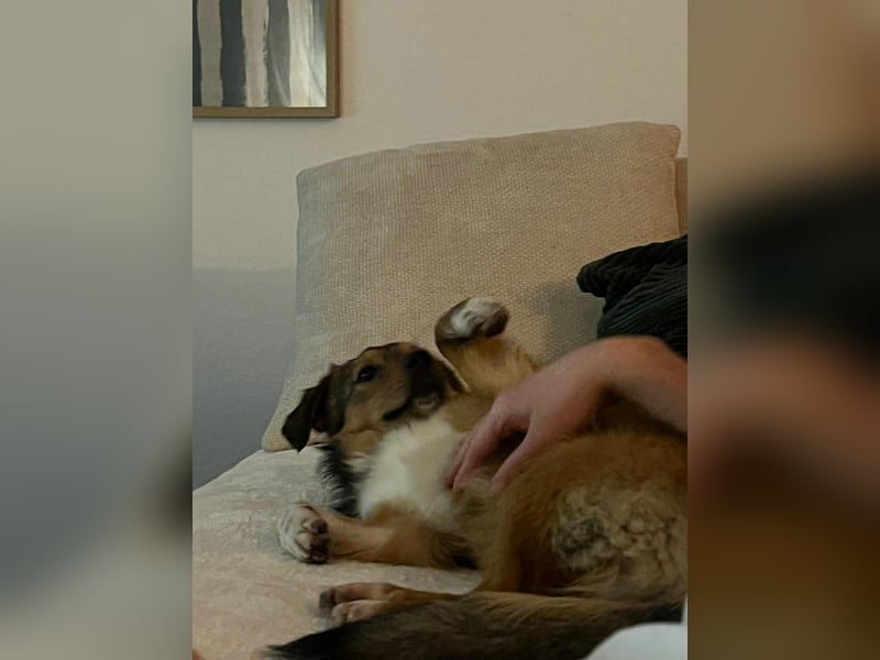 Haily - sucht geduldige Herzensmenschen