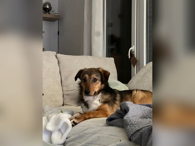 Haily - sucht geduldige Herzensmenschen